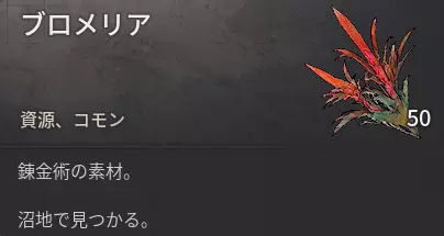 ブロメリア