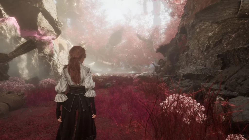 赤の林の入り口