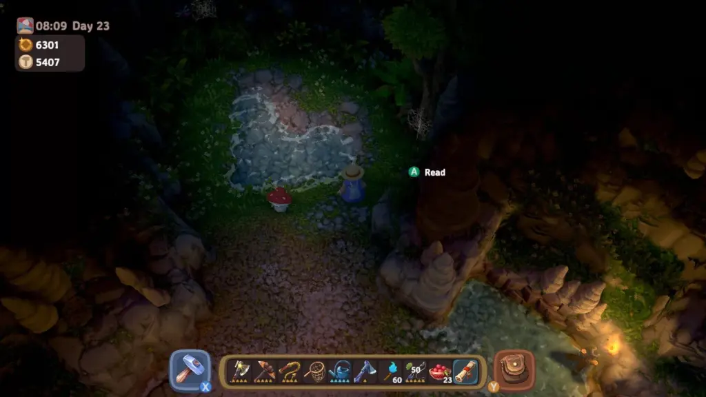Pirate Artifact4
