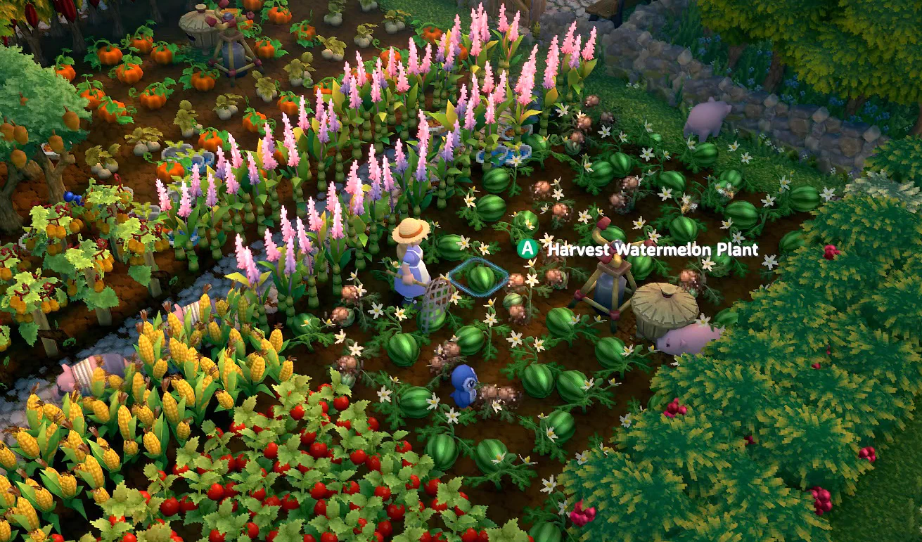 Beetles-on-Crops