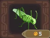 Grasshopper